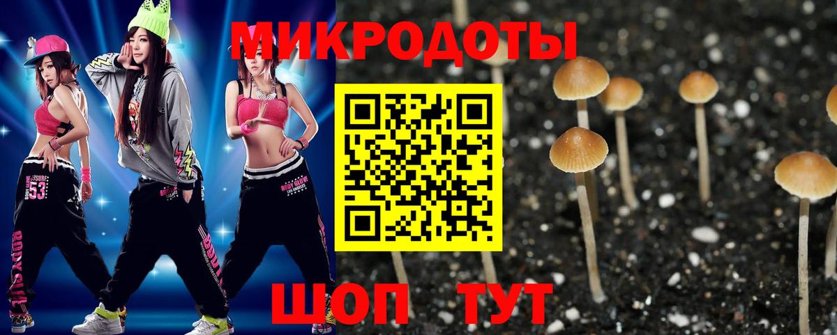 Псилоцибиновые грибы мухоморы Вышний Волочёк