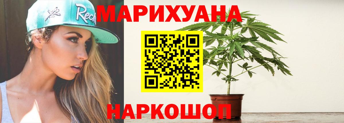 Конопля гибрид Вышний Волочёк